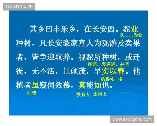 尊龙认树:认树活动如何促进社区凝聚力与文化传承的实践经验 尊龙认树:认树活动如何促进社区凝聚力与文化传承的实践经验