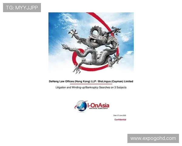 尊龙集团在国际化进程中面临的机遇与挑战探讨