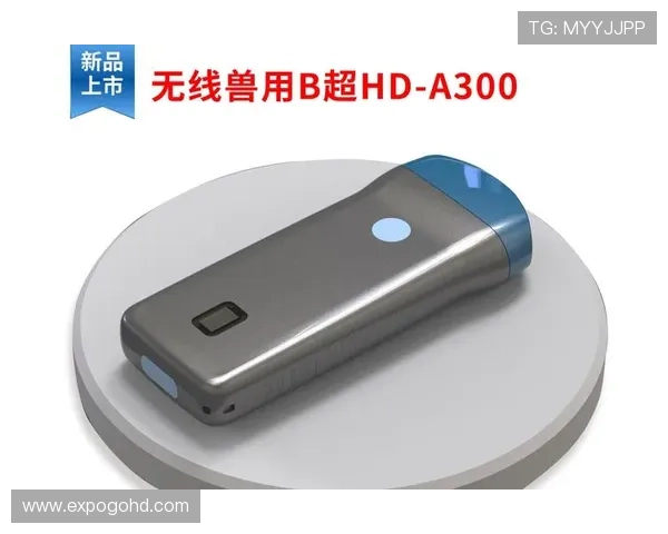 尊龙凯时在线官网提供最全的游戏资讯与安全保障,助你轻松畅玩每一场精彩赛事