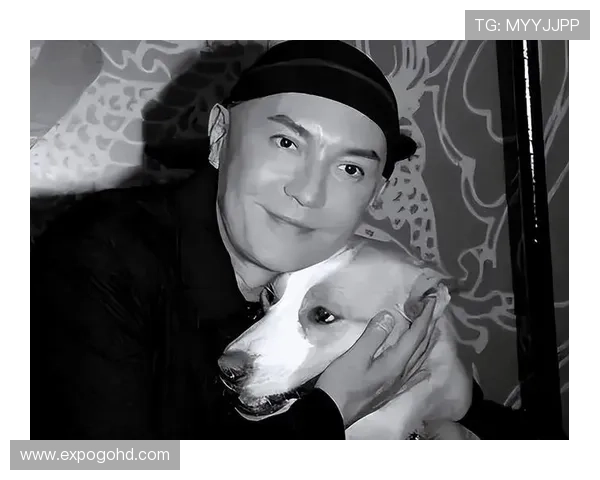 深入了解尊龙集团官网入口的功能与优势特点