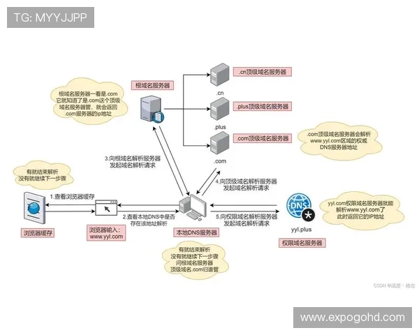 尊龙中国官网登录入口网址更新及查询常见问题全面解析