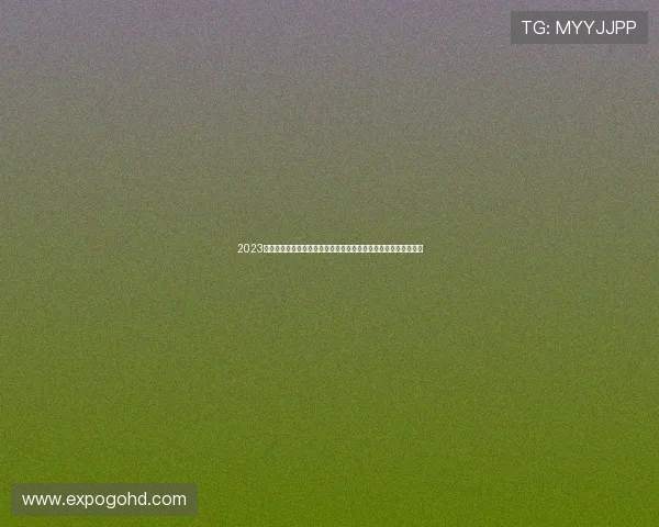 2023年世界杯足球赛每场比分统计数据，全面分析球队表现与比赛结果